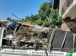 Professional Junk Removal  in Mount Sinai, NY